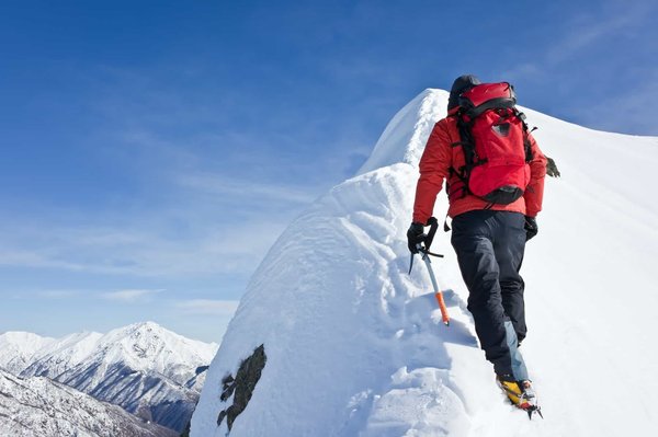 Les chèvres des montagnes sont-elles de véritables alpinistes ?