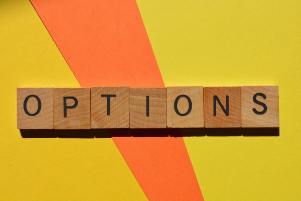 Quelles sont les options pour les chats ayant des besoins spéciaux en matière de litière ?