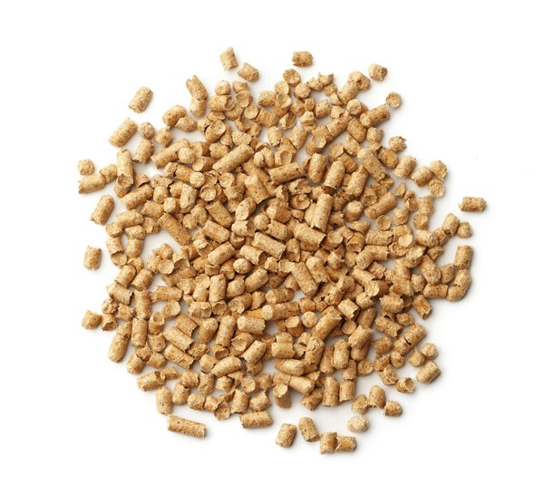 Litière de pellet : confort et propreté écologique